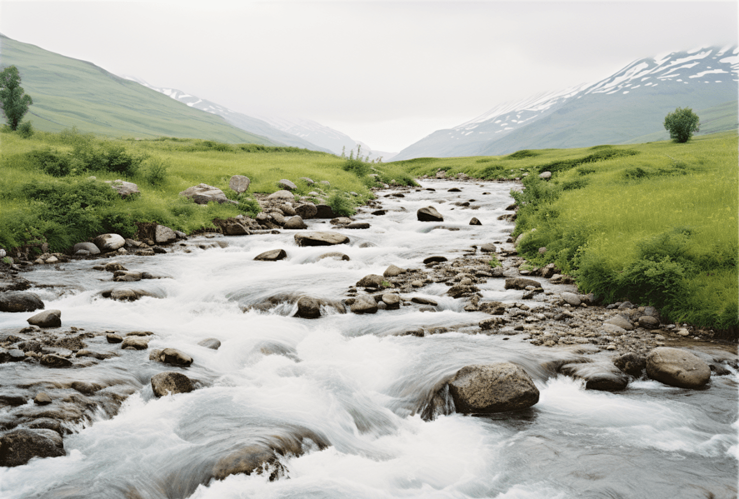 A river running over rocky rapids between green banks